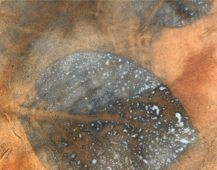 blog-post-image