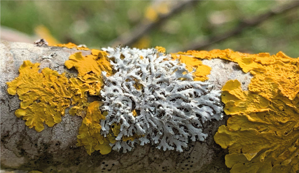 blog-post-image
